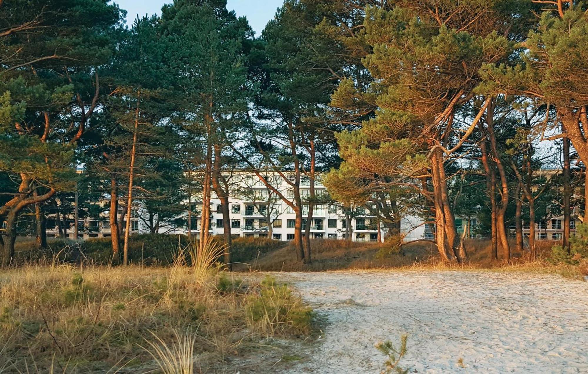 Prince Binz Eksteriør billede