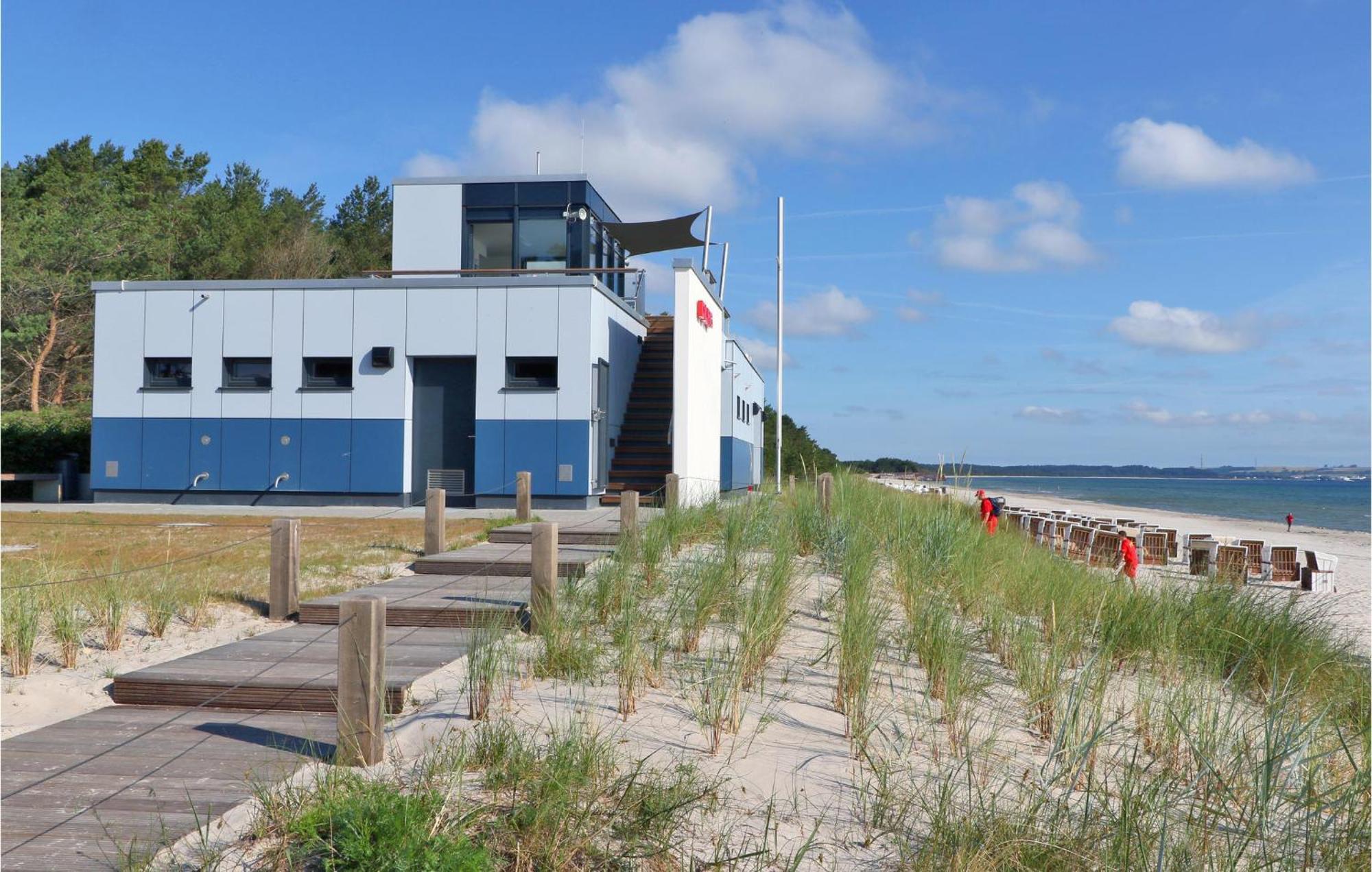 Prince Binz Eksteriør billede